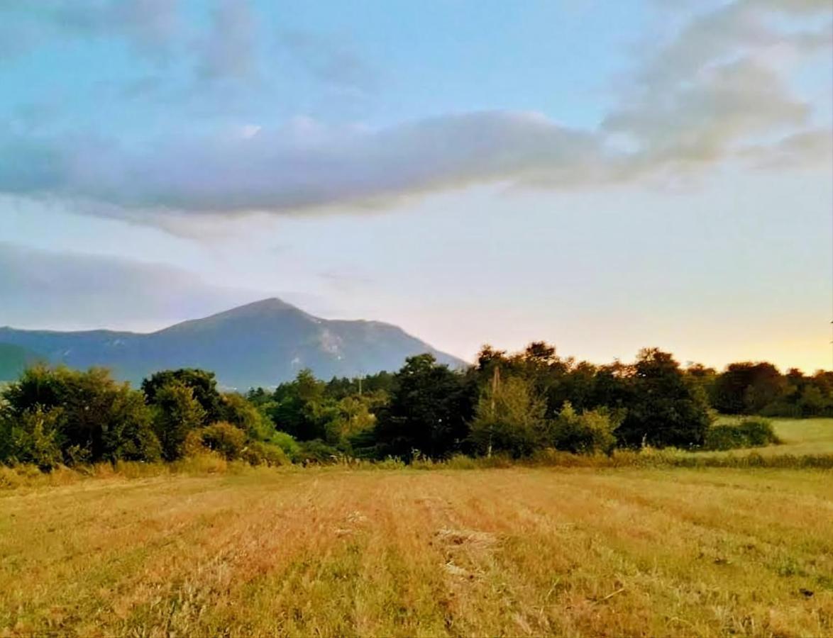Villa Saturea Boljevac Dış mekan fotoğraf