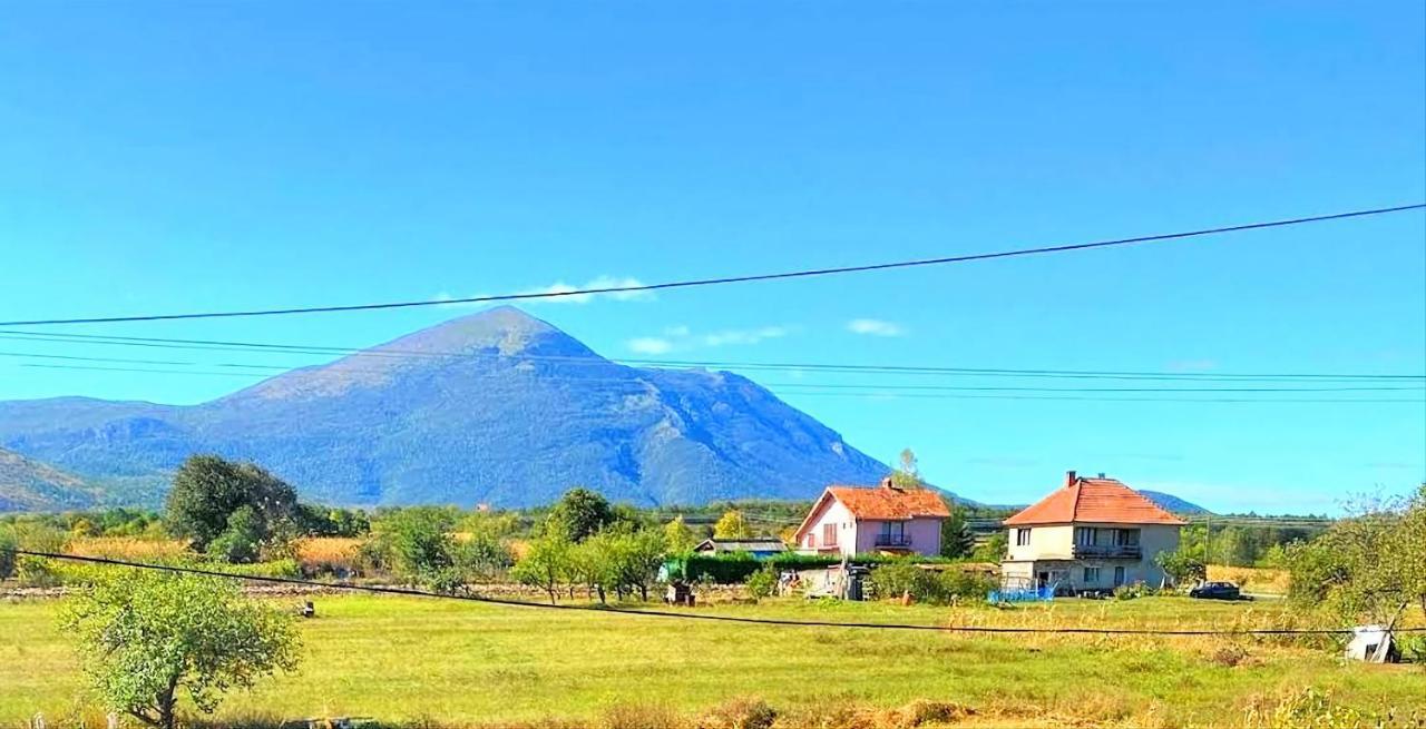 Villa Saturea Boljevac Dış mekan fotoğraf