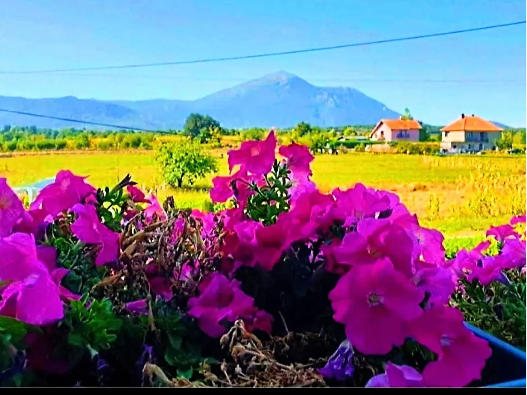 Villa Saturea Boljevac Dış mekan fotoğraf