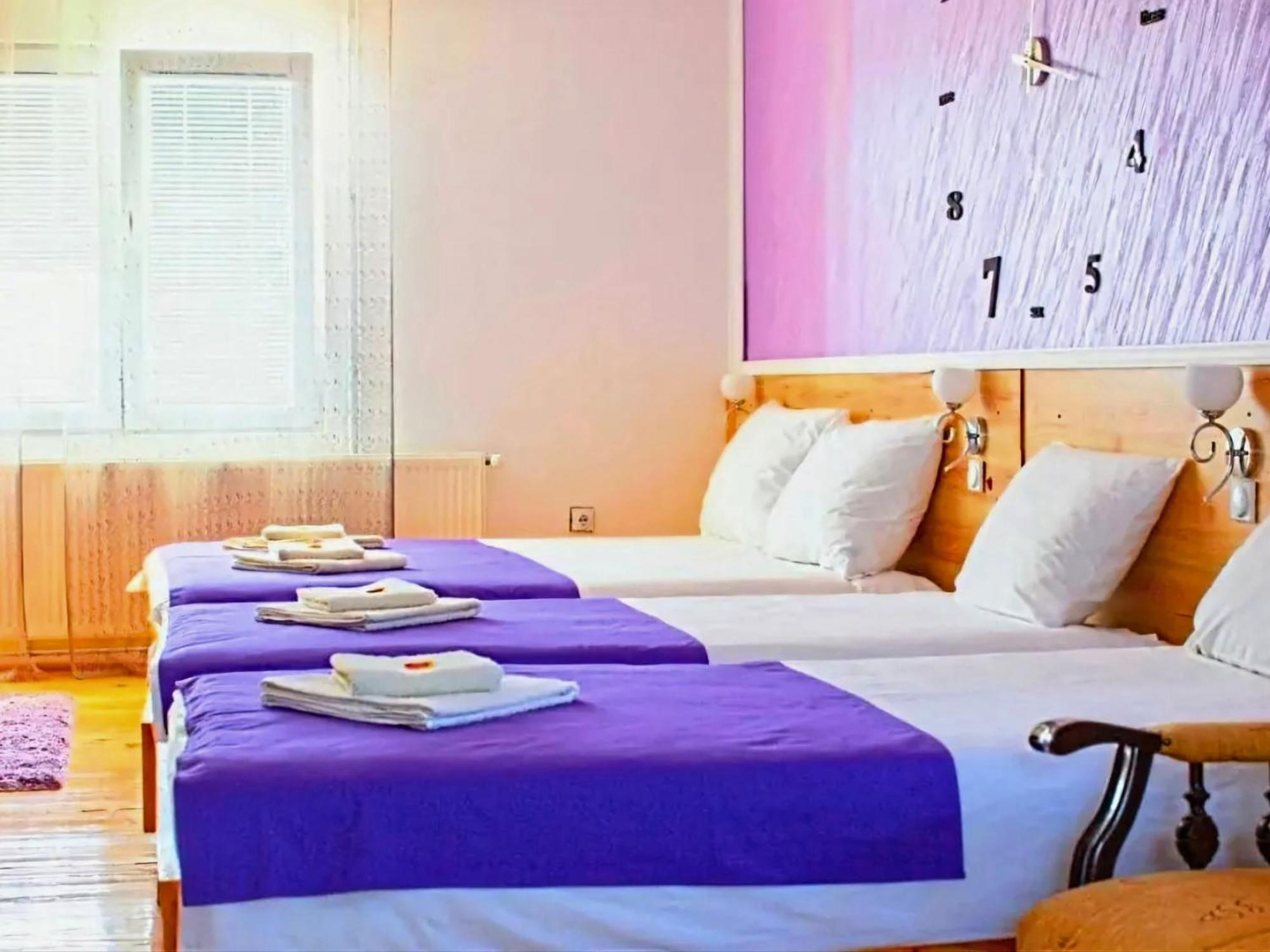 Villa Saturea Boljevac Dış mekan fotoğraf
